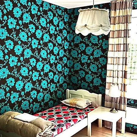 Yha Levitt Smart * Софія